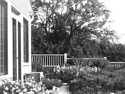 Terrace garden and study, 1959 Beatrix Farrand Society Archives