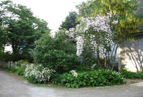 Front garden adjacent to barn, 2006 <em>Pressley Associates, Inc.</em>
